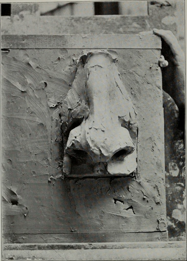 An illustration from Modelling; a guide for teachers and students, 1902, leaf 45