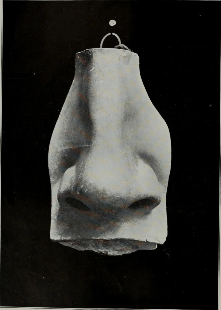 An illustration from Modelling; a guide for teachers and students, 1902, leaf 49