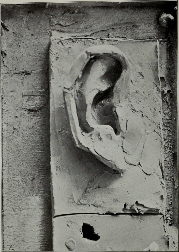 An illustration from Modelling; a guide for teachers and students, 1902, leaf 53