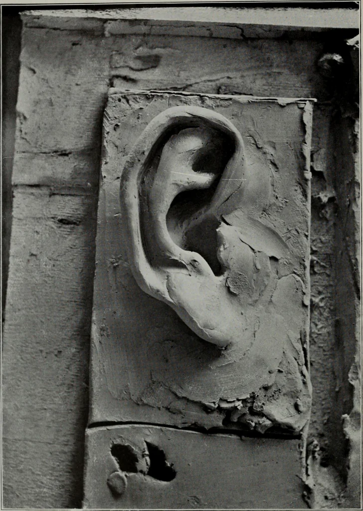 An illustration from Modelling; a guide for teachers and students, 1902, leaf 55