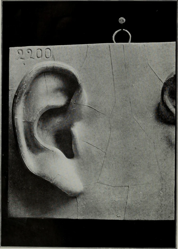 An illustration from Modelling; a guide for teachers and students, 1902, leaf 57