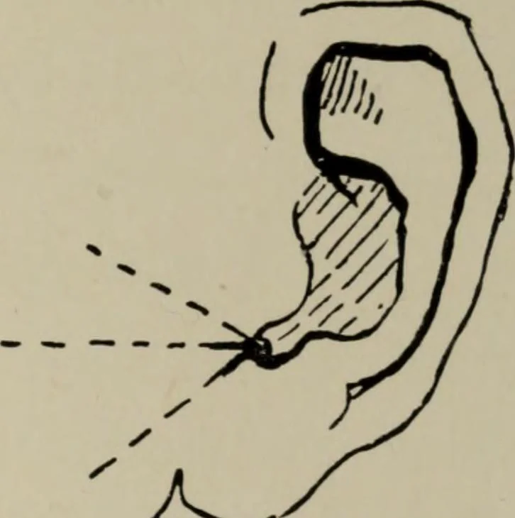 An illustration from Modelling; a guide for teachers and students, 1902, leaf 90