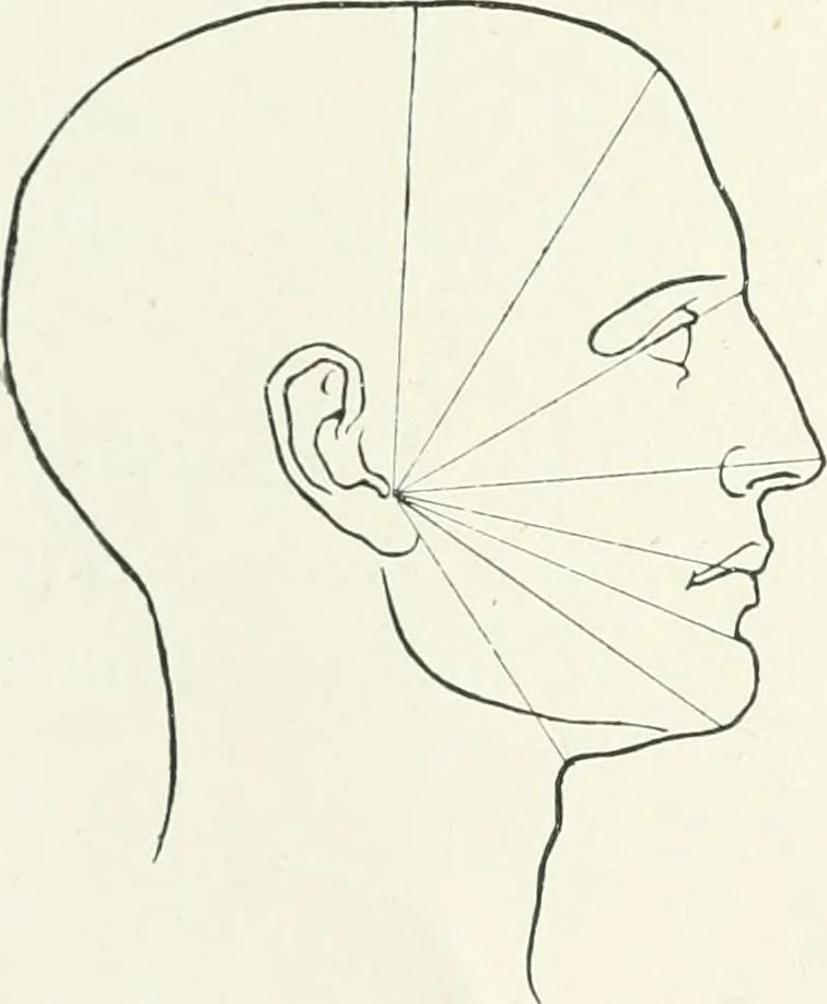 An illustration from Modelling : a guide for teachers and students, 1902, leaf 134