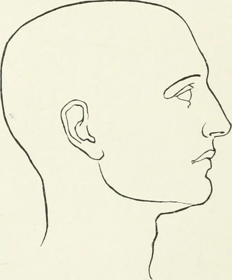 An illustration from Modelling : a guide for teachers and students, 1902, leaf 134