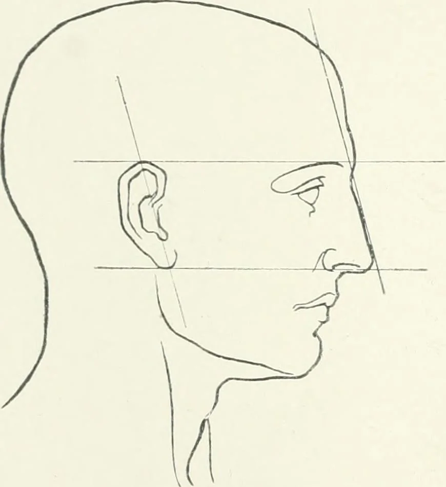 An illustration from Modelling : a guide for teachers and students, 1902, leaf 136