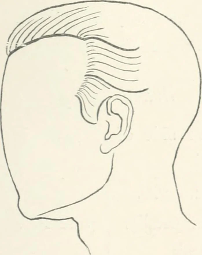 An illustration from Modelling : a guide for teachers and students, 1902, leaf 141