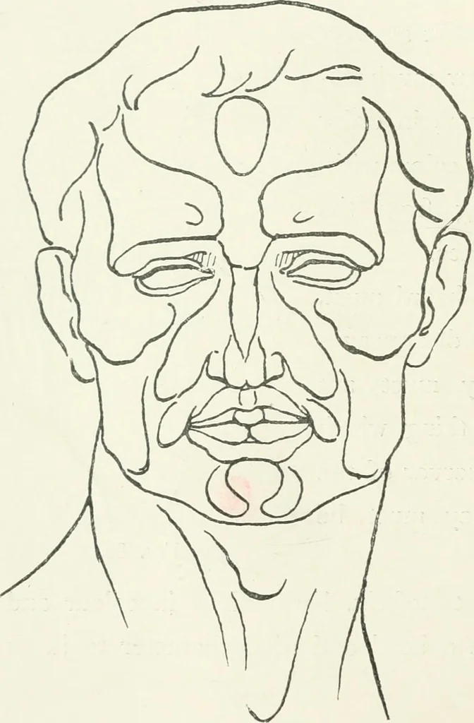 An illustration from Modelling : a guide for teachers and students, 1902, leaf 144