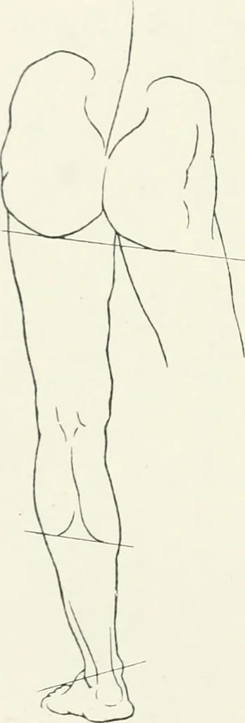 An illustration from Modelling : a guide for teachers and students, 1902, leaf 160