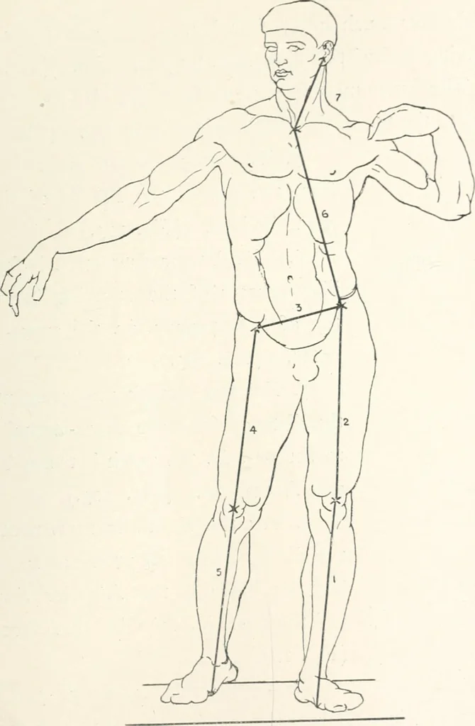 An illustration from Modelling : a guide for teachers and students, 1902, leaf 169