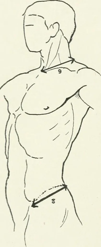 An illustration from Modelling : a guide for teachers and students, 1902, leaf 170