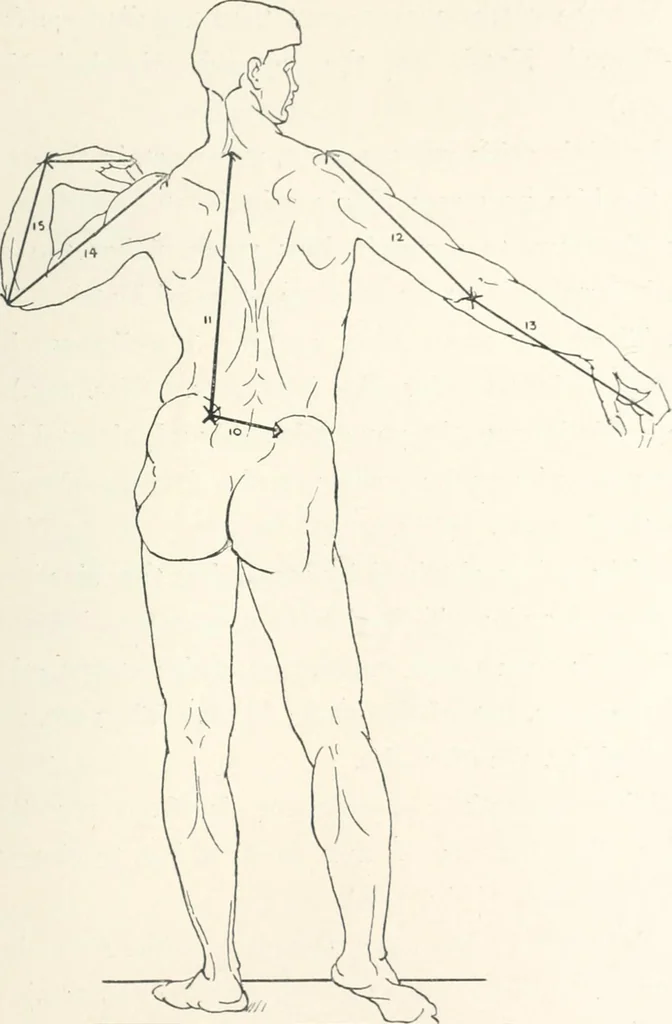 An illustration from Modelling : a guide for teachers and students, 1902, leaf 171
