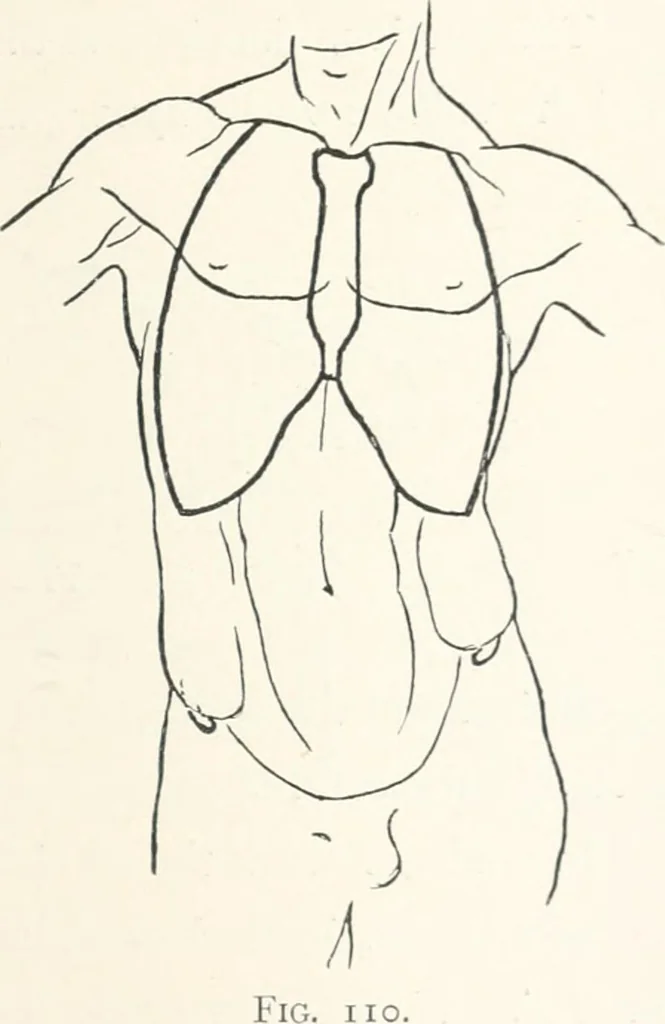 An illustration from Modelling : a guide for teachers and students, 1902, leaf 177