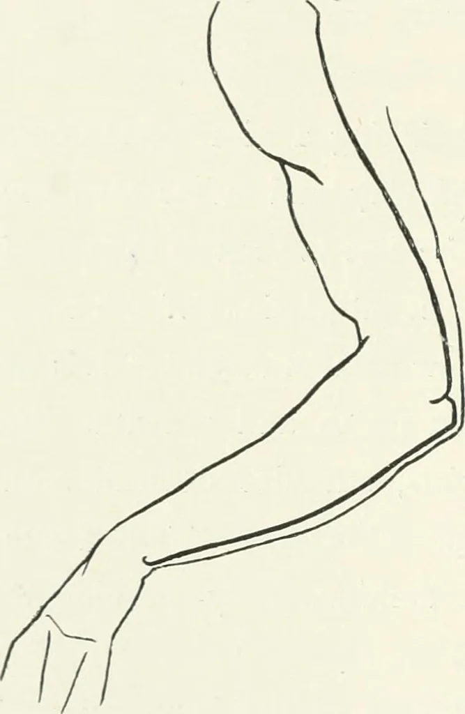 An illustration from Modelling : a guide for teachers and students, 1902, leaf 180
