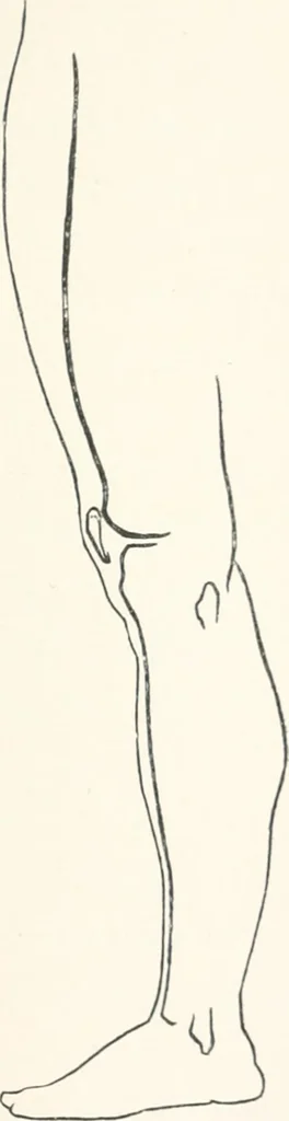 An illustration from Modelling : a guide for teachers and students, 1902, leaf 181