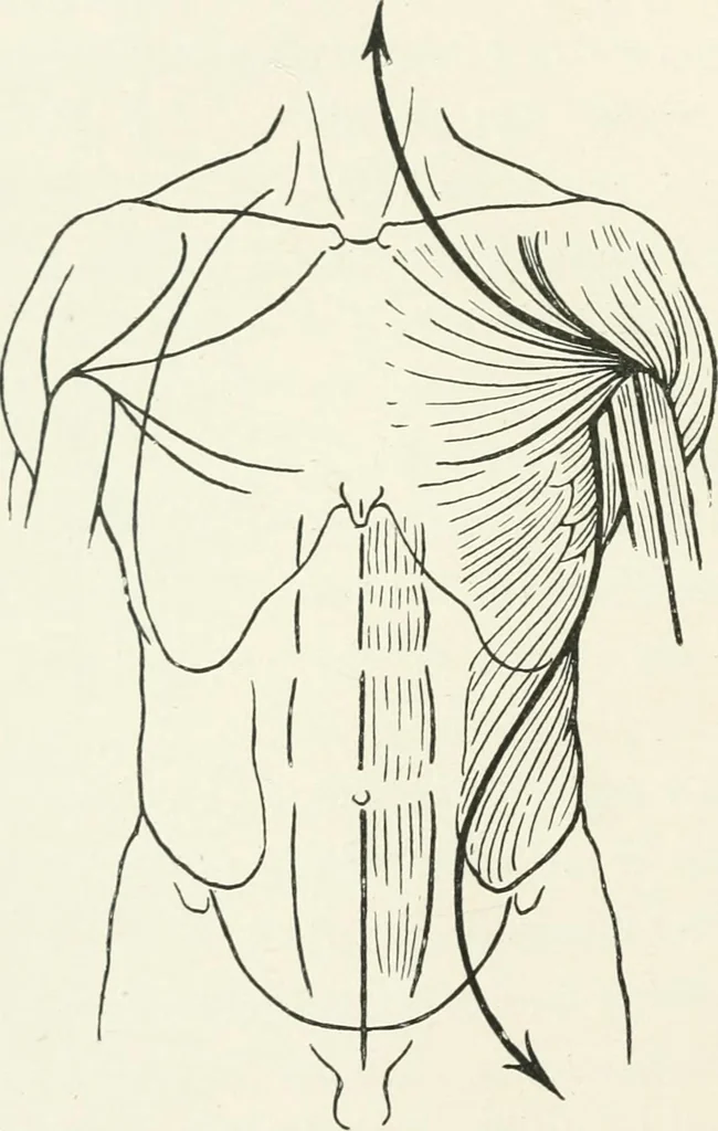 An illustration from Modelling : a guide for teachers and students, 1902, leaf 186