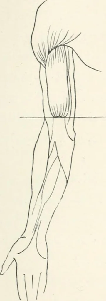 An illustration from Modelling : a guide for teachers and students, 1902, leaf 187