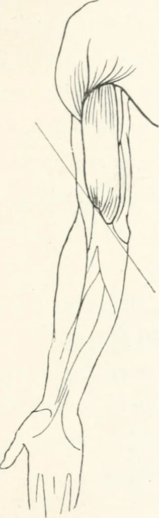 An illustration from Modelling : a guide for teachers and students, 1902, leaf 187