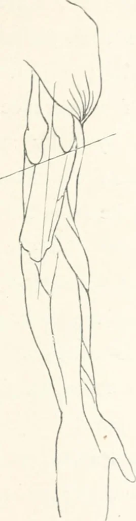 An illustration from Modelling : a guide for teachers and students, 1902, leaf 189