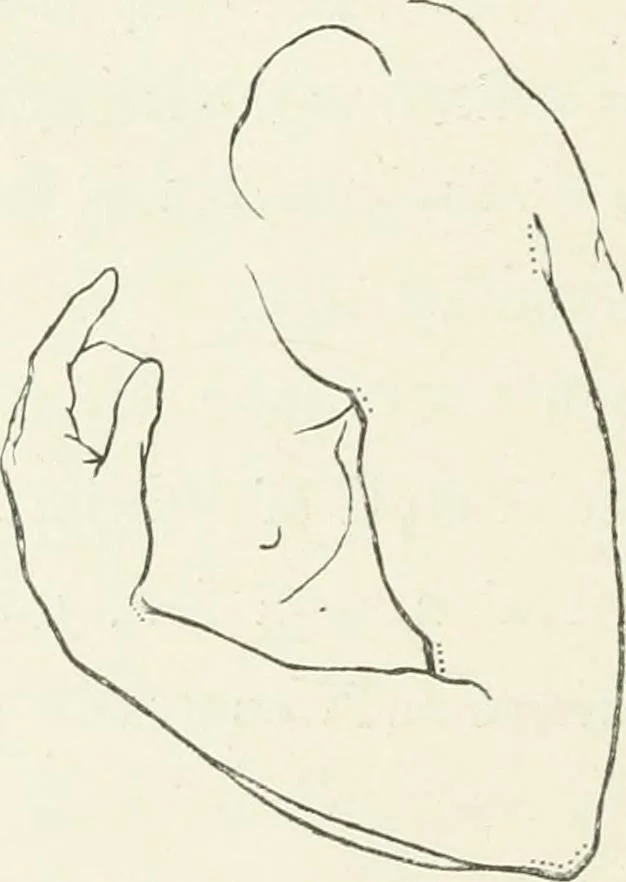 An illustration from Modelling : a guide for teachers and students, 1902, leaf 192