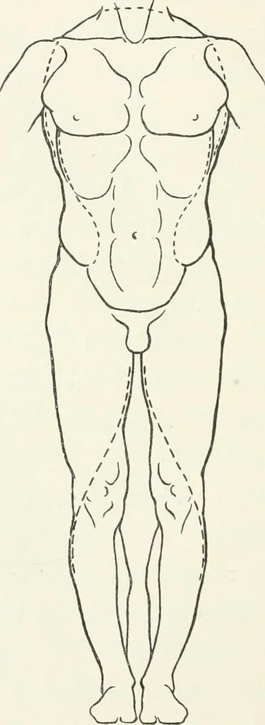 An illustration from Modelling : a guide for teachers and students, 1902, leaf 198