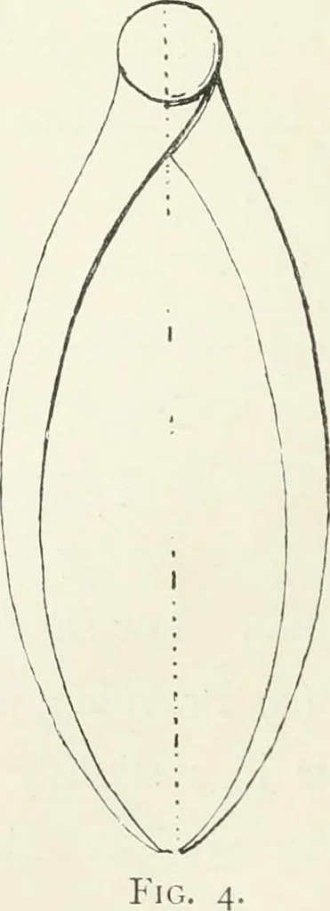 An illustration from Modelling : a guide for teachers and students, 1902, leaf 21