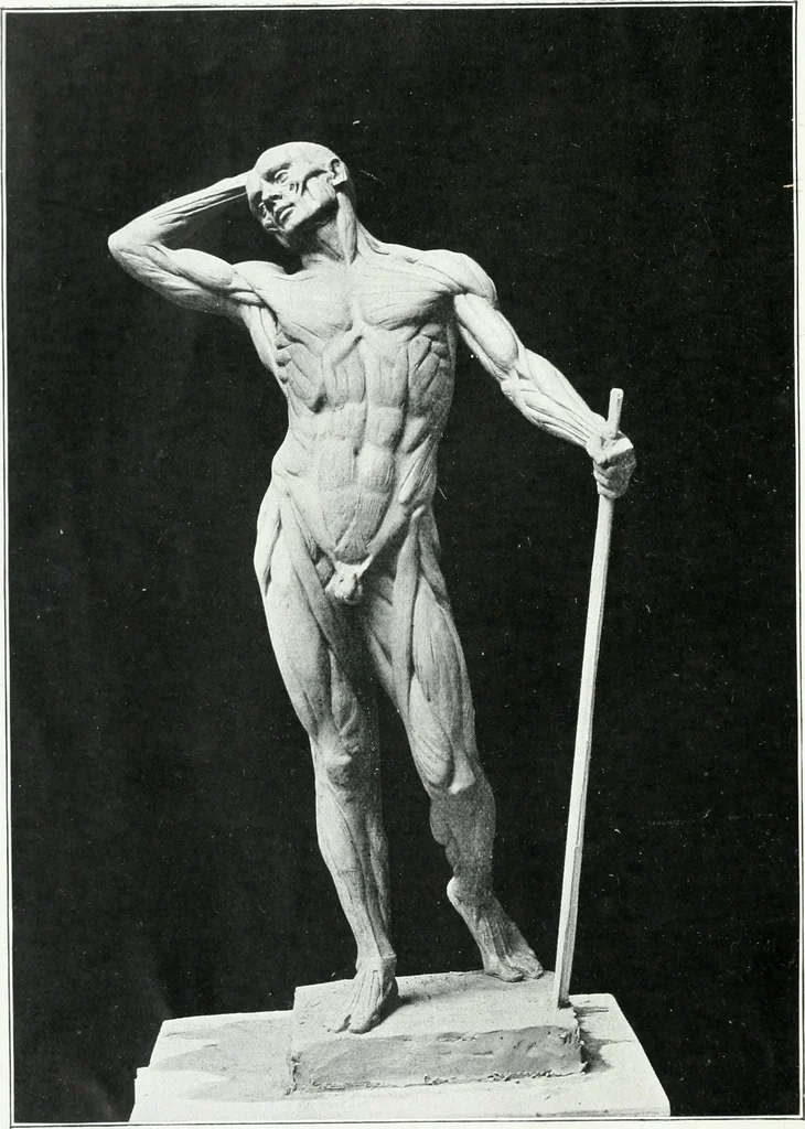 An illustration from Modelling : a guide for teachers and students, 1902, leaf 226
