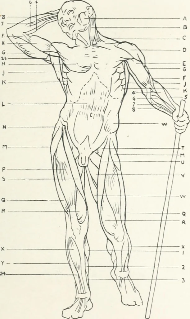 An illustration from Modelling : a guide for teachers and students, 1902, leaf 227