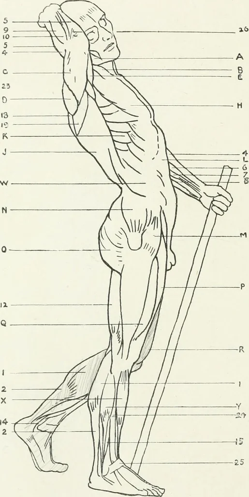 An illustration from Modelling : a guide for teachers and students, 1902, leaf 228
