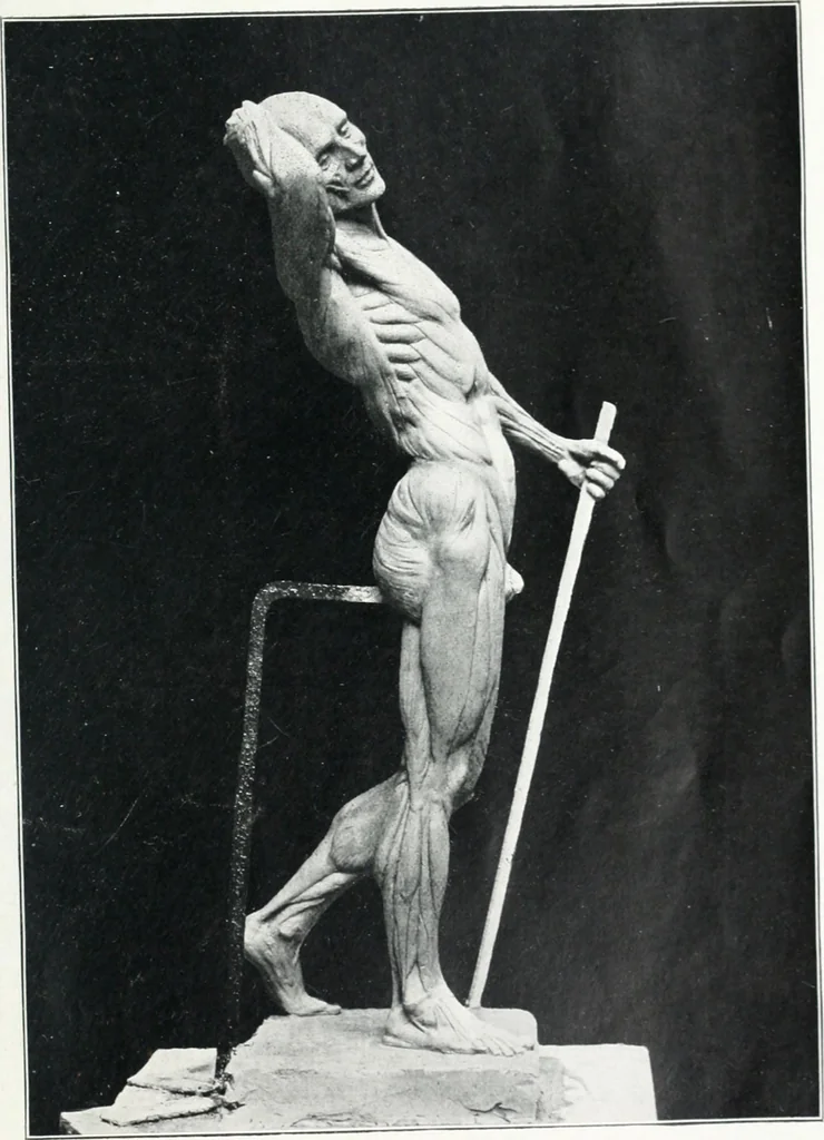 An illustration from Modelling : a guide for teachers and students, 1902, leaf 229