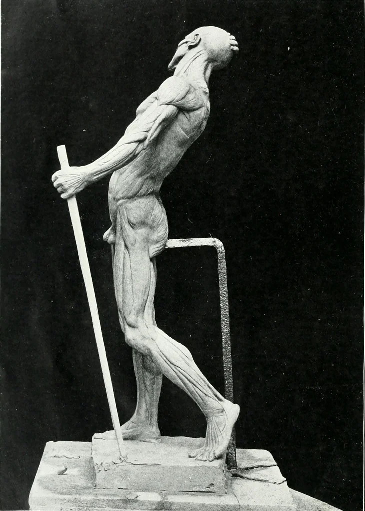 An illustration from Modelling : a guide for teachers and students, 1902, leaf 232