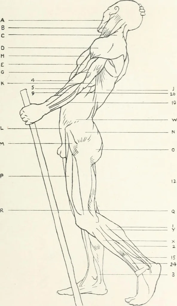 An illustration from Modelling : a guide for teachers and students, 1902, leaf 233