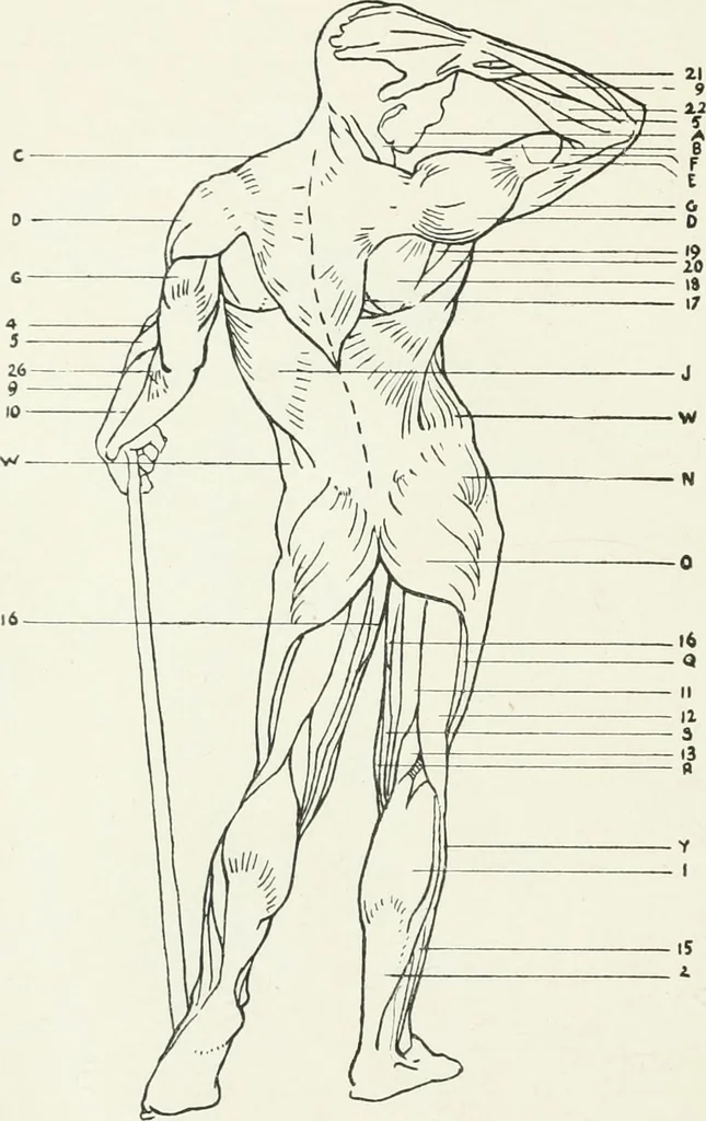 An illustration from Modelling : a guide for teachers and students, 1902, leaf 234