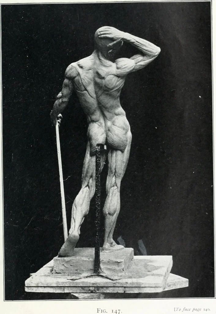 An illustration from Modelling : a guide for teachers and students, 1902, leaf 235