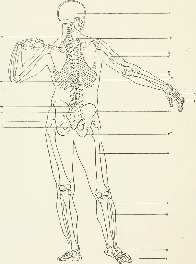 An illustration from Modelling : a guide for teachers and students, 1902, leaf 244