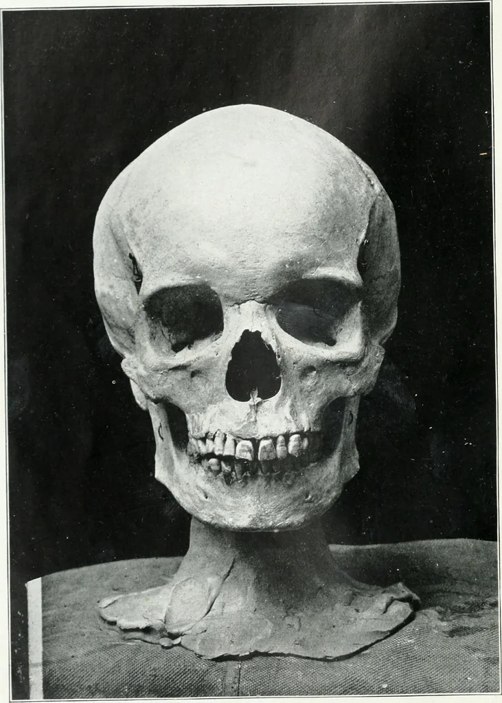 An illustration from Modelling : a guide for teachers and students, 1902, leaf 25