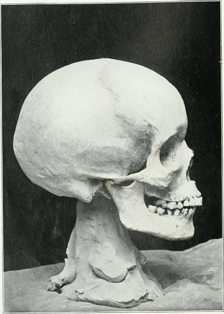 An illustration from Modelling : a guide for teachers and students, 1902, leaf 27