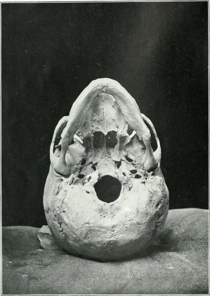 An illustration from Modelling : a guide for teachers and students, 1902, leaf 29