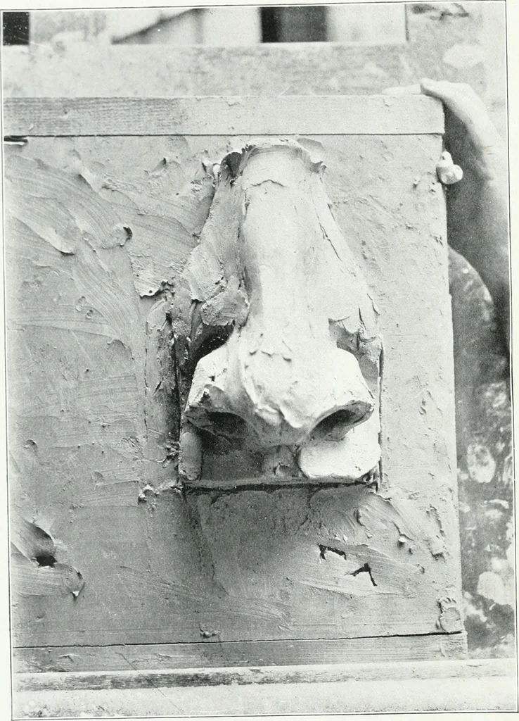 An illustration from Modelling : a guide for teachers and students, 1902, leaf 45