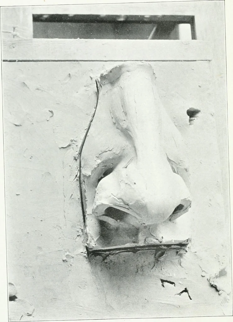 An illustration from Modelling : a guide for teachers and students, 1902, leaf 47