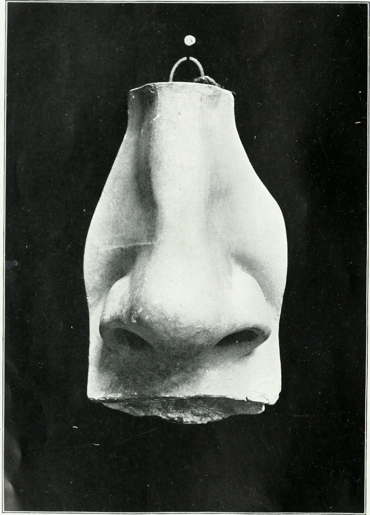 An illustration from Modelling : a guide for teachers and students, 1902, leaf 49