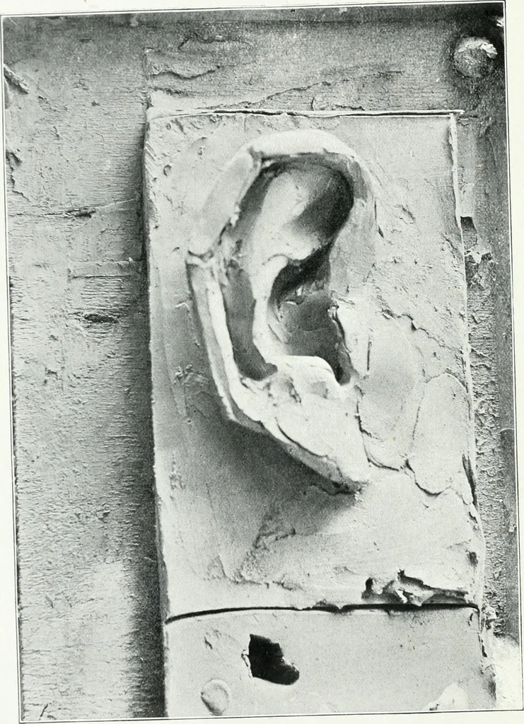 An illustration from Modelling : a guide for teachers and students, 1902, leaf 53