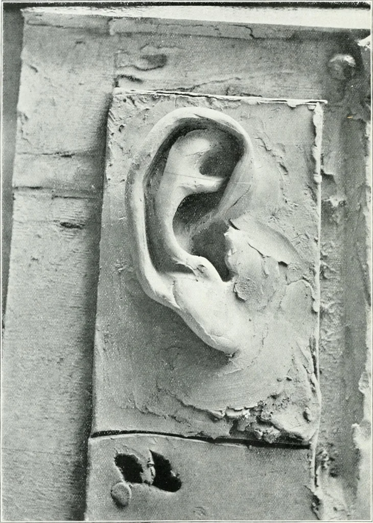 An illustration from Modelling : a guide for teachers and students, 1902, leaf 55
