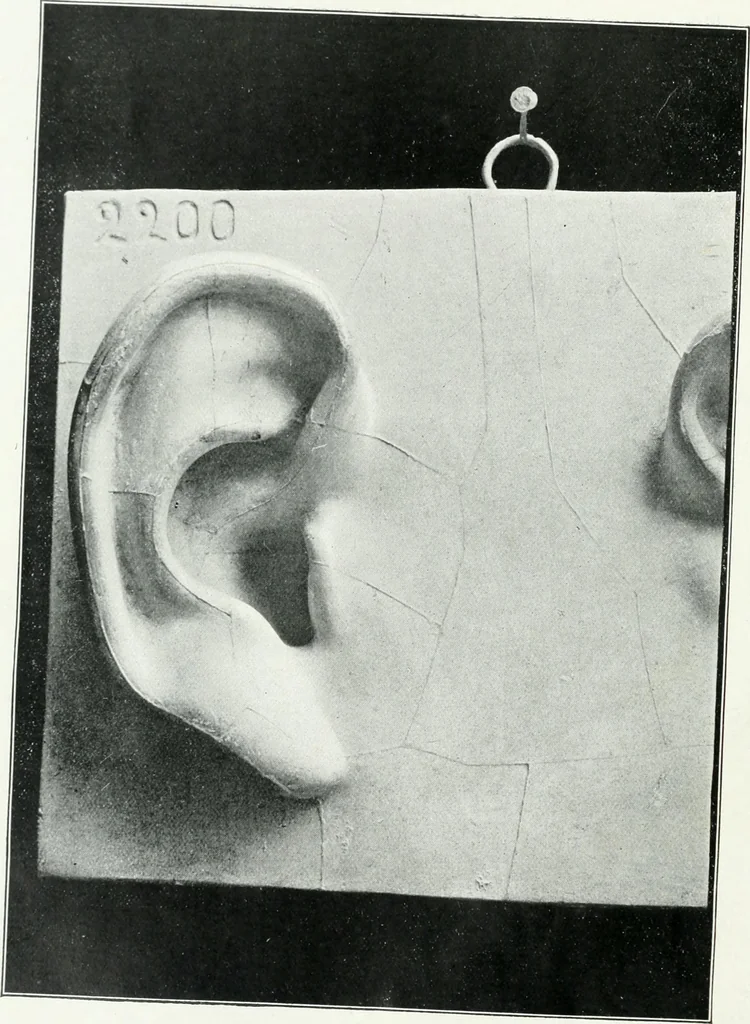 An illustration from Modelling : a guide for teachers and students, 1902, leaf 57