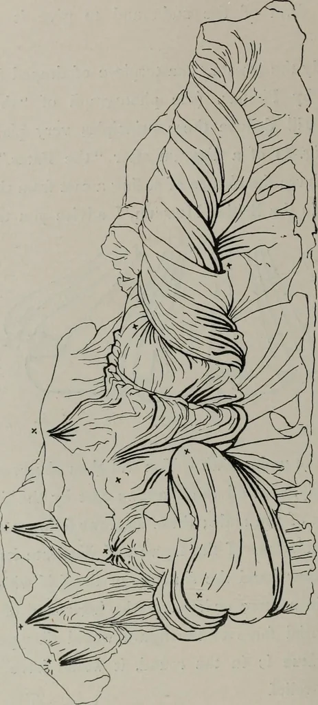 An illustration from Modelling; a guide for teachers and students, 1902, leaf 119