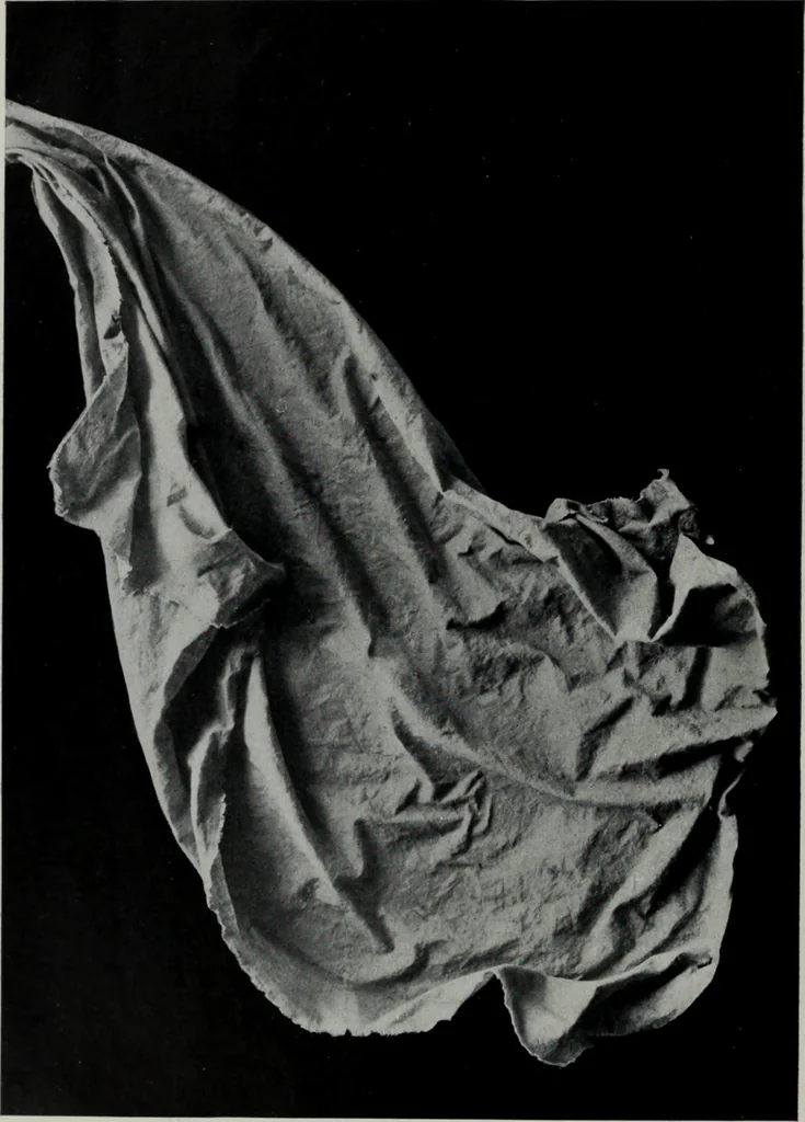 An illustration from Modelling; a guide for teachers and students, 1902, leaf 133
