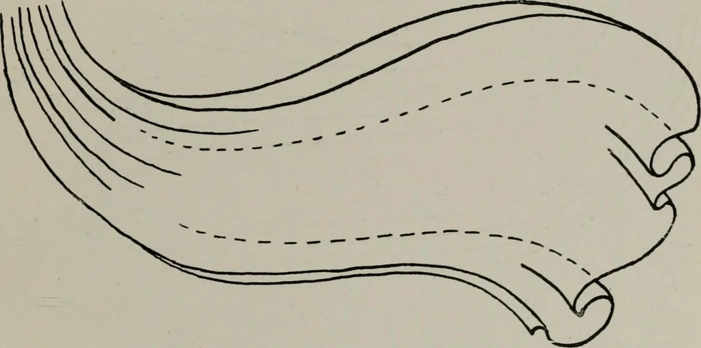 An illustration from Modelling; a guide for teachers and students, 1902, leaf 134