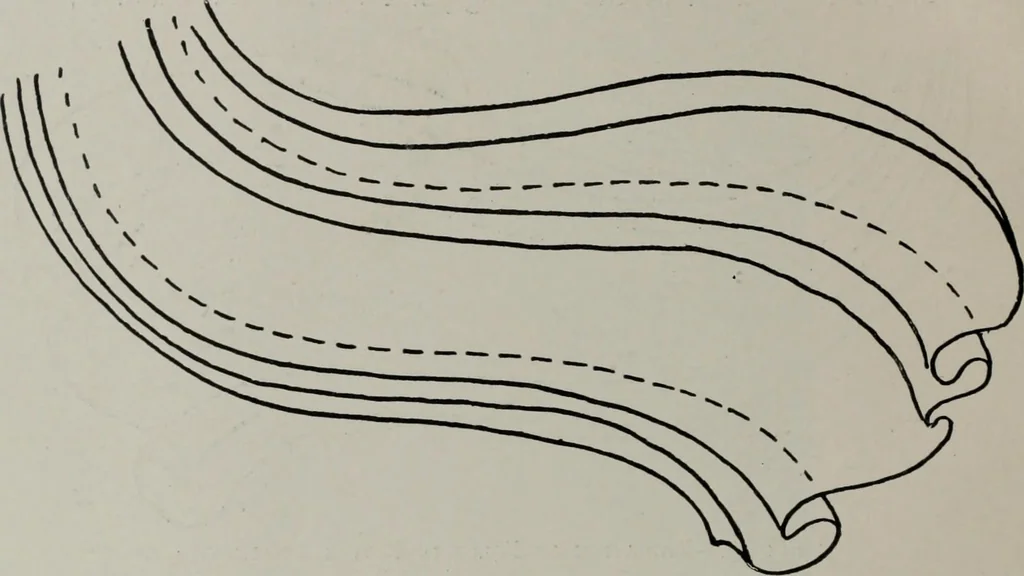 An illustration from Modelling; a guide for teachers and students, 1902, leaf 135