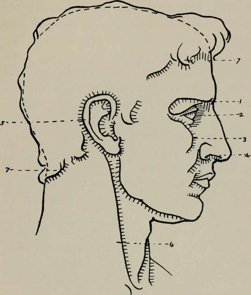 An illustration from Modelling; a guide for teachers and students, 1902, leaf 176