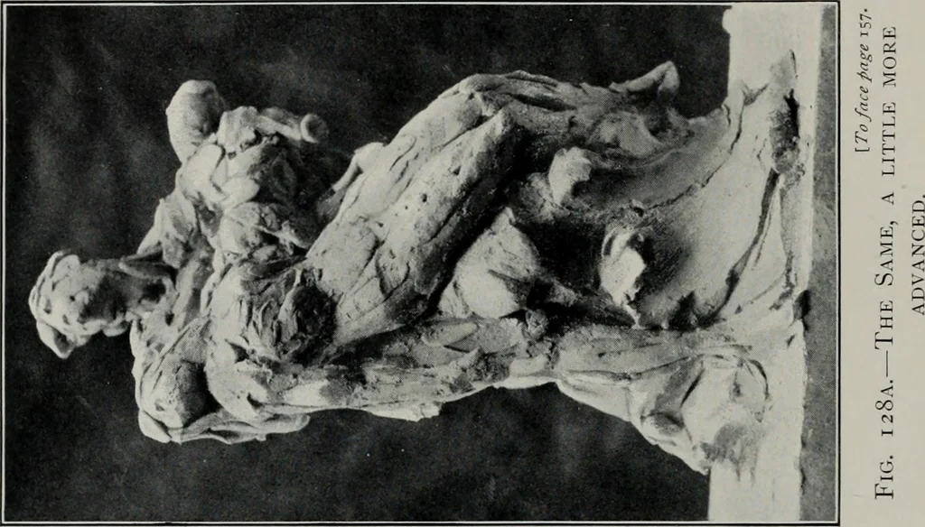 An illustration from Modelling; a guide for teachers and students, 1902, leaf 303
