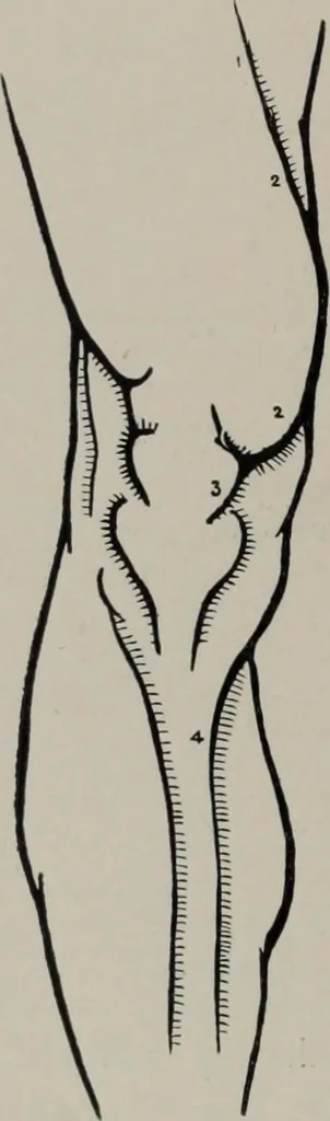 An illustration from Modelling; a guide for teachers and students, 1902, leaf 41